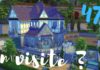 – 47 – Bleuet -Solid Color Challenge | ON VISITE ? 🏡 | YouTube